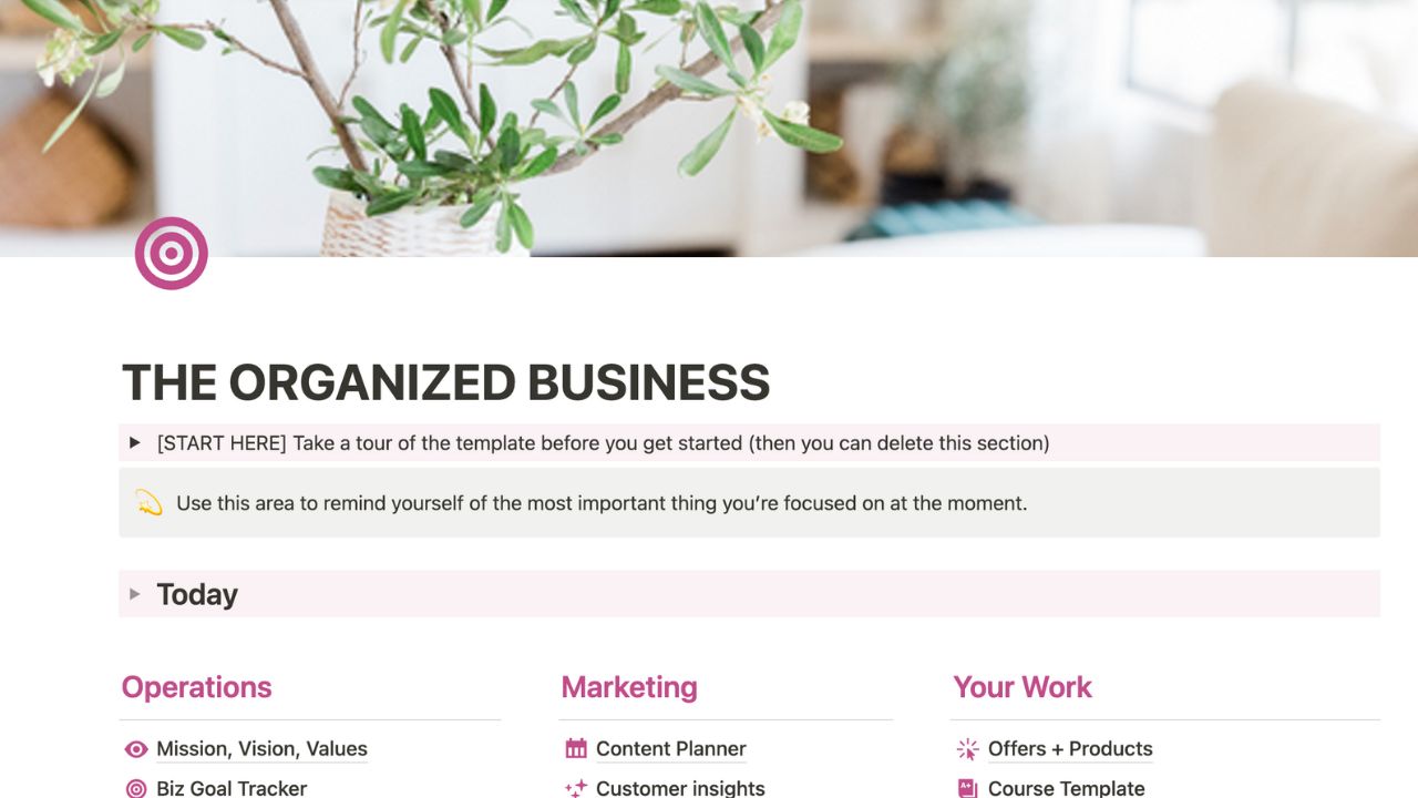 The Organized Business - Notion Template for New Business Owners